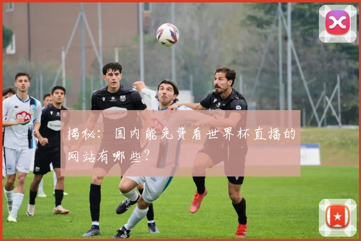 揭秘:国内能免费看世界杯直播的网站有哪些?