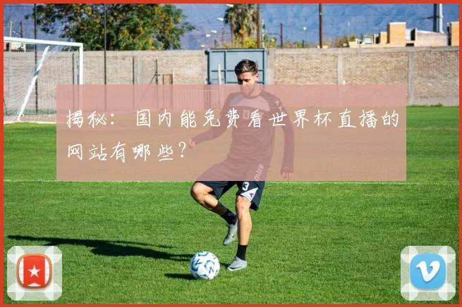 揭秘：国内能免费看世界杯直播的网站有哪些？