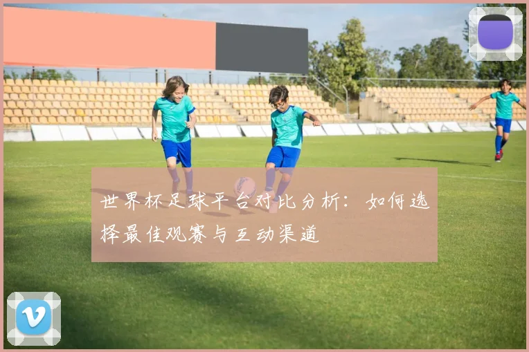 世界杯足球平台对比分析：如何选择最佳观赛与互动渠道